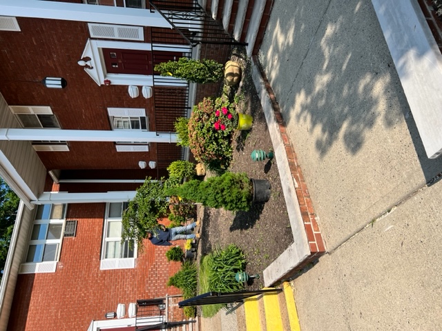 lawnscaping